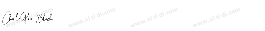CharliePro Black字体转换